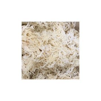 Wild Crafted Sea Moss- 55lb