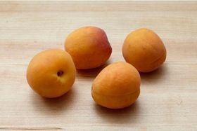 Apricots