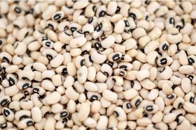 Black Eye Peas/LB