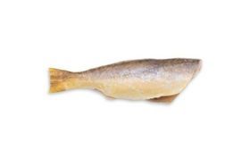 BLUE WATER BANGAMARY H&G 20 LB