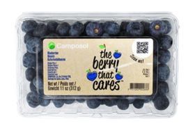 Camposol The Berry That Cares Blueberries - 11 Ounces
