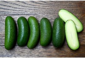 Cocktail Avocados