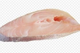 Corvina