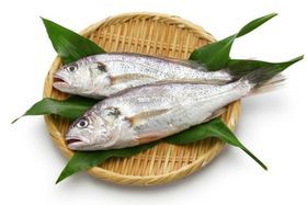 CROAKER CUT (SMALL) BOX 25LB