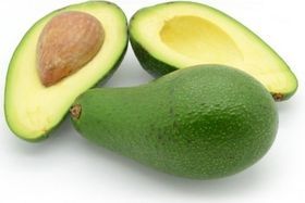 Florida Avocado