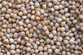 Frozen Pigeon Peas