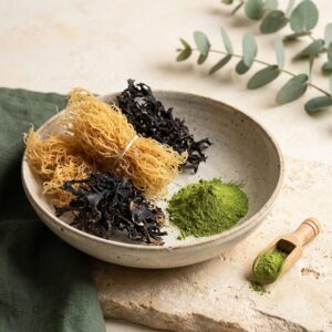 Sea Moss & Superfoods at Gitto and Sons Health Foods