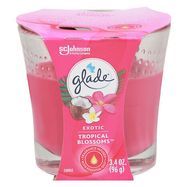 Glade Candle, Tropical Blossoms, Exotic - 1 Candle