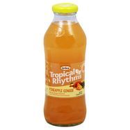 Grace Tropical Rhythms Juice Drink, Pineapple Ginger - 16 Fluid Ounces