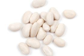 Great Northern Bean 50 Lb