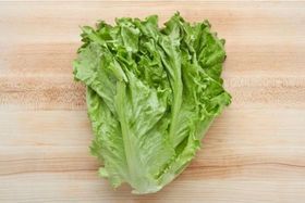 Green Leaf Lettuce