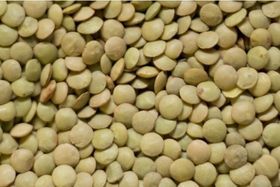 Green Lentils/LB
