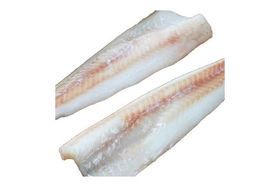 Hake Whiting HT