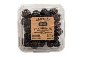 Harvest H52 Blackberries - 6 Ounces