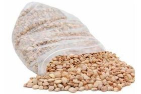 Oloyin Honey Beans 20 LB