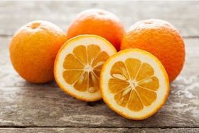 Organic Sour Oranges