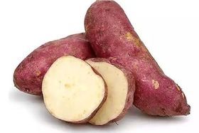 Organic Sweet Potato