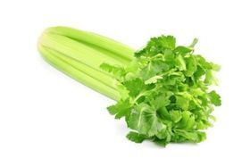 Pacific Celery