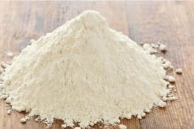 Plantain Flour