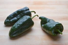 Poblano Peppers