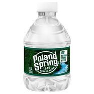 Poland Spring Water, Natural Spring - 8 Fluid Ounces