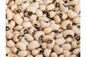 Ranje Fwaye Black Eyed Peas (Cowpeas, Goat peas) 10 LB
