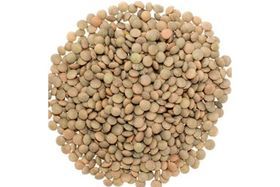 Ranje Fwaye Brown Lentil 10 LB