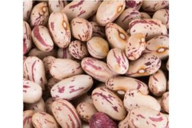 Ranje Fwaye Cranberry beans (Shell beans) 10 LB