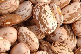 Ranje Fwaye Pinto Beans (strawberry bean) 10 LB