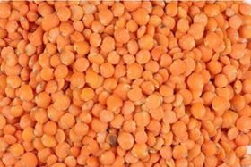 Ranje Fwaye Red Lentil 10 LB