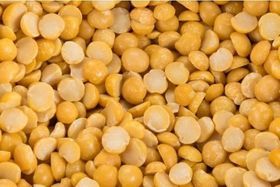 Riverhead Yellow Split Peas 50 Lb