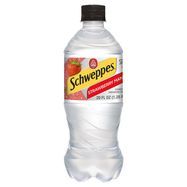 Schweppes Original Sparkling Water - 20 Fluid Ounces