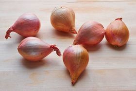 Shallots Onions