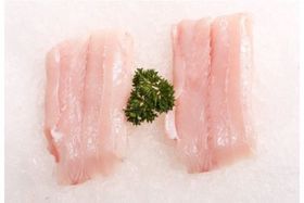 Shark Fillet