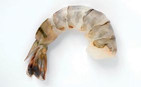 Skt Raw Peeled Deveined Tail On White 16 to 20 Shrimp