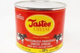 Tastee Cheese Pasteurized Processed Spread Cheese - 5 Pounds