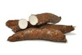 Tropical Yuca