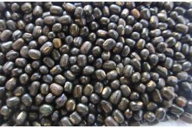 Urad Whole Black Bean/LB