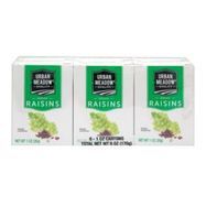 Urban Meadow Raisins Juice - 6 Pack (1 Ounce Each)