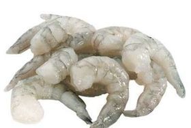 White Belly Shrimp