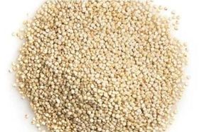 White Quinoa/LB