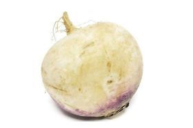 White Turnip