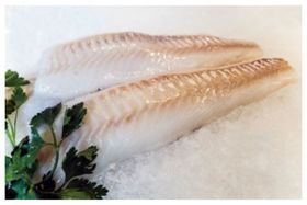 Whiting Fillet Skin ON BOX