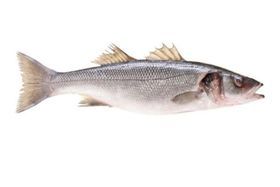 Whiting Fish Wild Caught