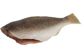 Whole Croaker