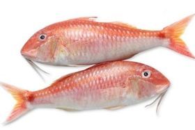 Wild Caught Fresh Goat Fish