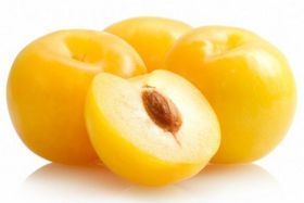 Yellow Plum