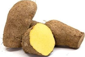 Yellow Yam