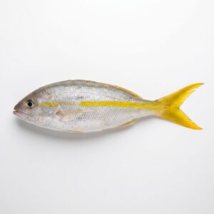Butterflied Yellowtail Snapper Fillet